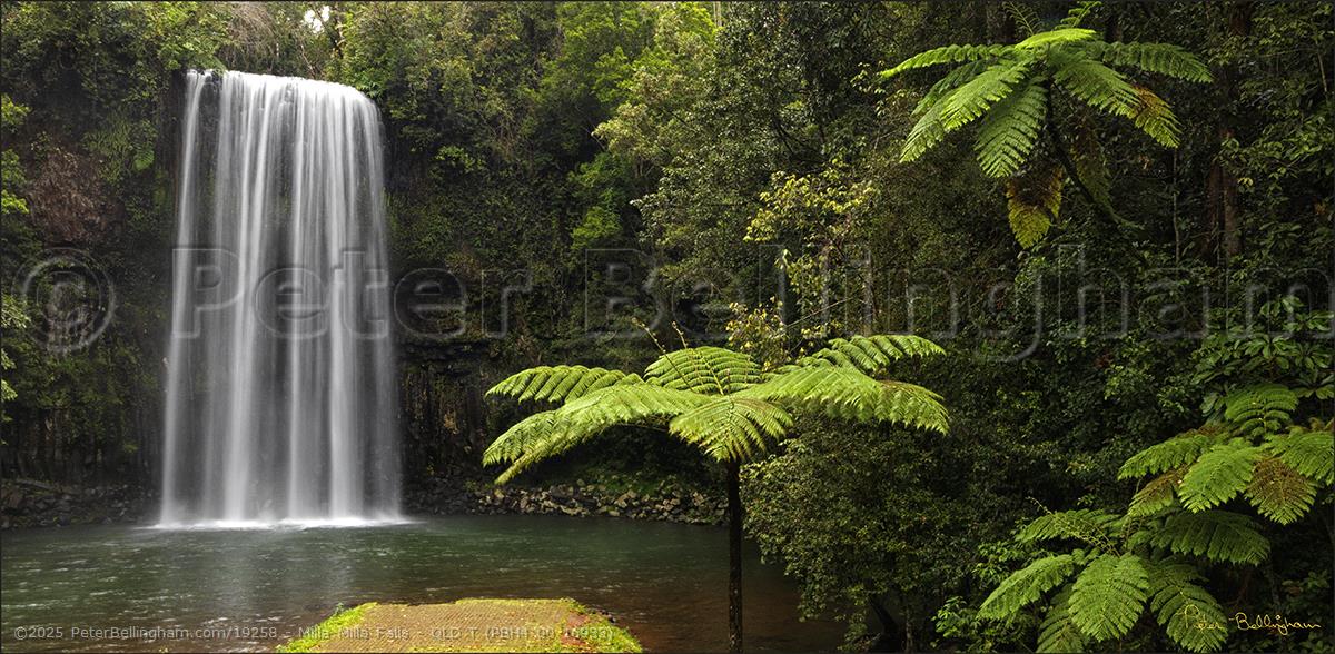 Peter Bellingham Photography Milla Milla Falls - QLD T (PBH4 00 16933)